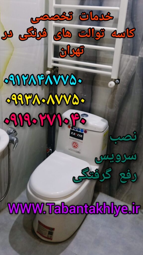 تعمیر توالت فرنگی ظفر